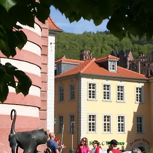 Hotell Zur Alten Bruecke, Heidelberg